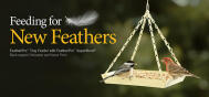 PROMO FeatherPro SuperBlend 2607P V1